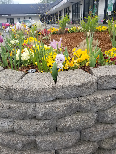 Thrift Store «Value Village», reviews and photos, 12060 SW Main St, Tigard, OR 97223, USA