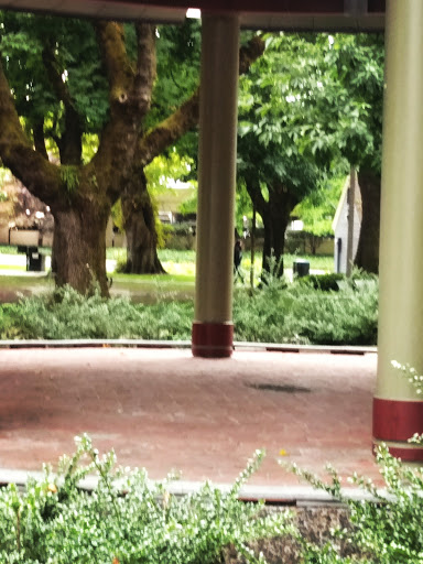 Park «Dawson Park», reviews and photos, 2926 N Williams Ave, Portland, OR 97227, USA