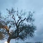 Photo n°1 de l'avis de ANNA.. fait le 14/11/2023 à 09:56 sur le  Grand Hotel Aminta à Sorrento