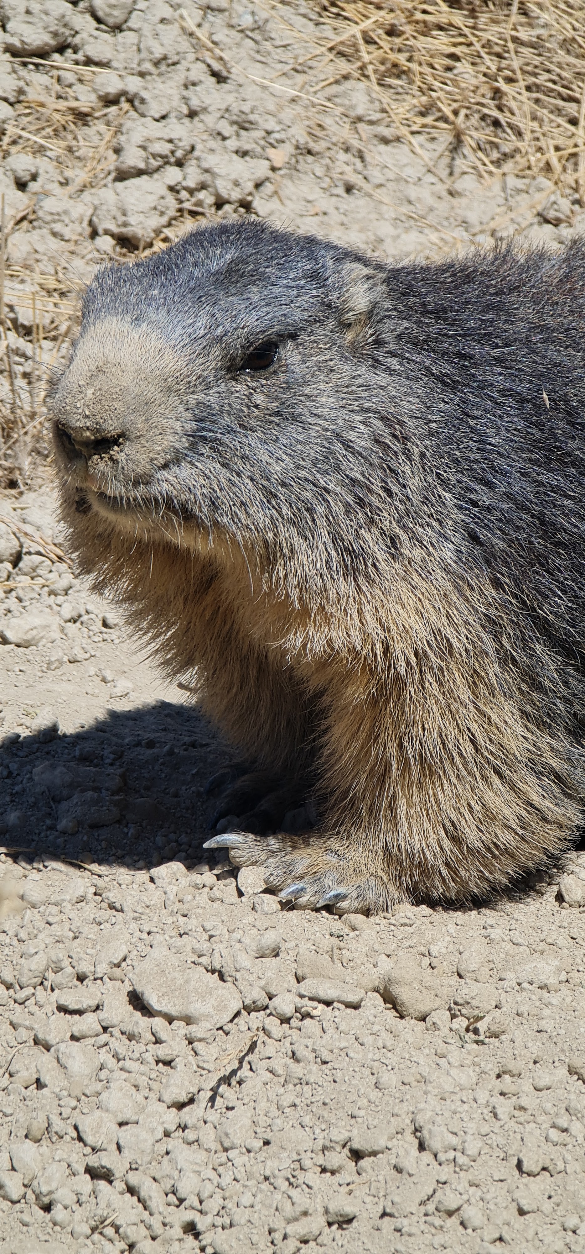 Photo n° 13 de l'avis de Julie.a fait le 03/08/2019 à 12:47