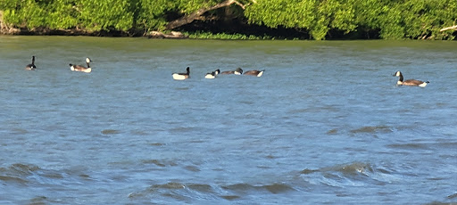 Tourist Attraction «West Branch State Park Beach», reviews and photos, Esworthy Rd, Ravenna, OH 44266, USA