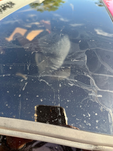 Car Wash «Sporty’s Riverboat Car Wash», reviews and photos, 520 S Ponce De Leon Blvd, St Augustine, FL 32084, USA