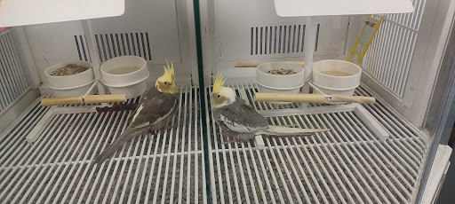 Pet Supply Store «Petco Animal Supplies», reviews and photos, 2005 W 8 Mile Rd, Detroit, MI 48203, USA