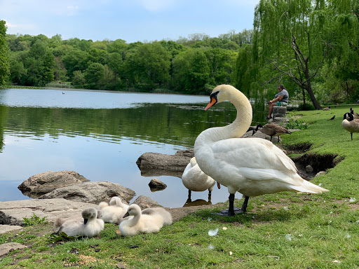 Golf Course «Van Cortlandt Park Golf Course», reviews and photos, 115 Van Cortlandt Park S, Bronx, NY 10471, USA