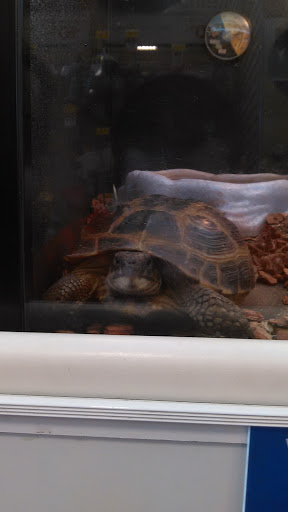 Pet Supply Store «PetSmart», reviews and photos, 5200 W Main St, Kalamazoo, MI 49009, USA