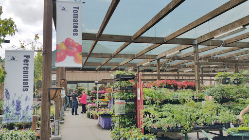 Sloat Garden Center, 1555 Kirker Pass Rd, Concord, CA 94521, USA, 