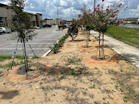 Martz Land Services LLC - Photo 4 - Car repair in , Winter Haven