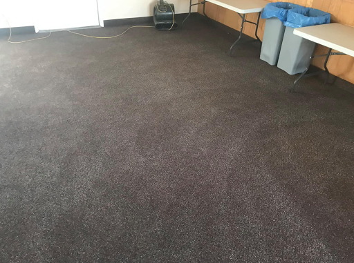 Cole's Carpet Cleaning