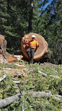 Looks Great Services Inc - Photo 5 - Car repair in Huntington Station, NY, New York