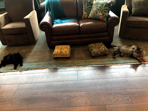 Audio Visual Consultant «Automated Lifestyles LLC», reviews and photos, 228 Windsor Way, Moscow, PA 18444, USA