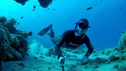 Undervandsitetet - Uvjagt, fridykning, snorkling, dykkerudstyr, harpun mm.