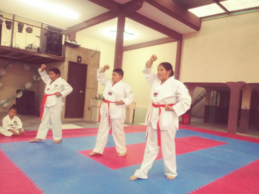 Escuela Nacional de Taekwondo 