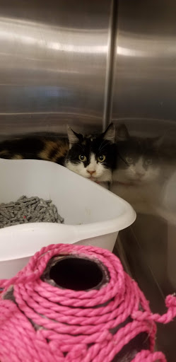 Pet Supply Store «PetSmart», reviews and photos, 11945 Central Ave, Chino, CA 91710, USA