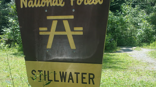 National Forest «Pisgah National Forest», reviews and photos, 1600 Pisgah Highway, Nebo, NC 28761, USA