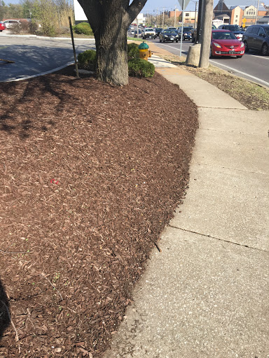 Oil Change Service «Jiffy Lube», reviews and photos, 15849 Manchester Rd, Ellisville, MO 63011, USA