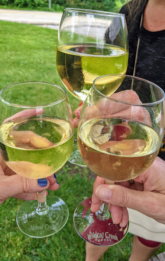 Winery «Wildcat Creek Winery», reviews and photos, 3233 E 200 N, Lafayette, IN 47905, USA