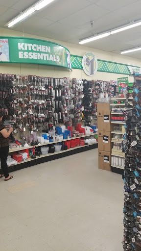 Dollar Store «Dollar Tree», reviews and photos, 4920 Allen Rd, Zephyrhills, FL 33541, USA