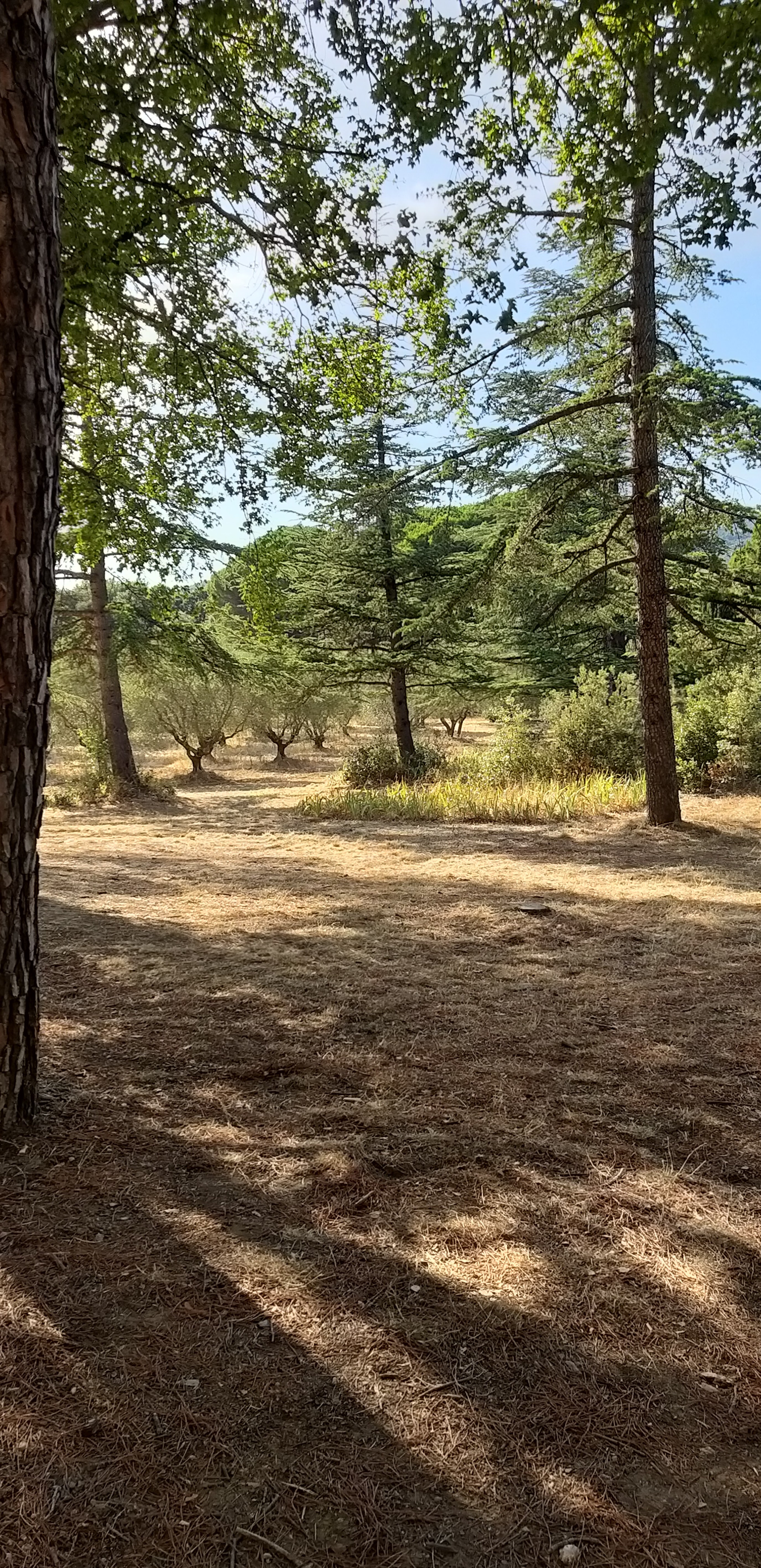 Photo n° 37 de l'avis de unmecdesannees80. fait le 27/08/2019 à 18:09