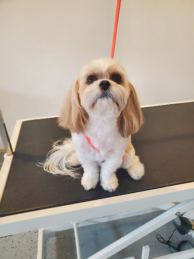 Siennas grooming services and products image