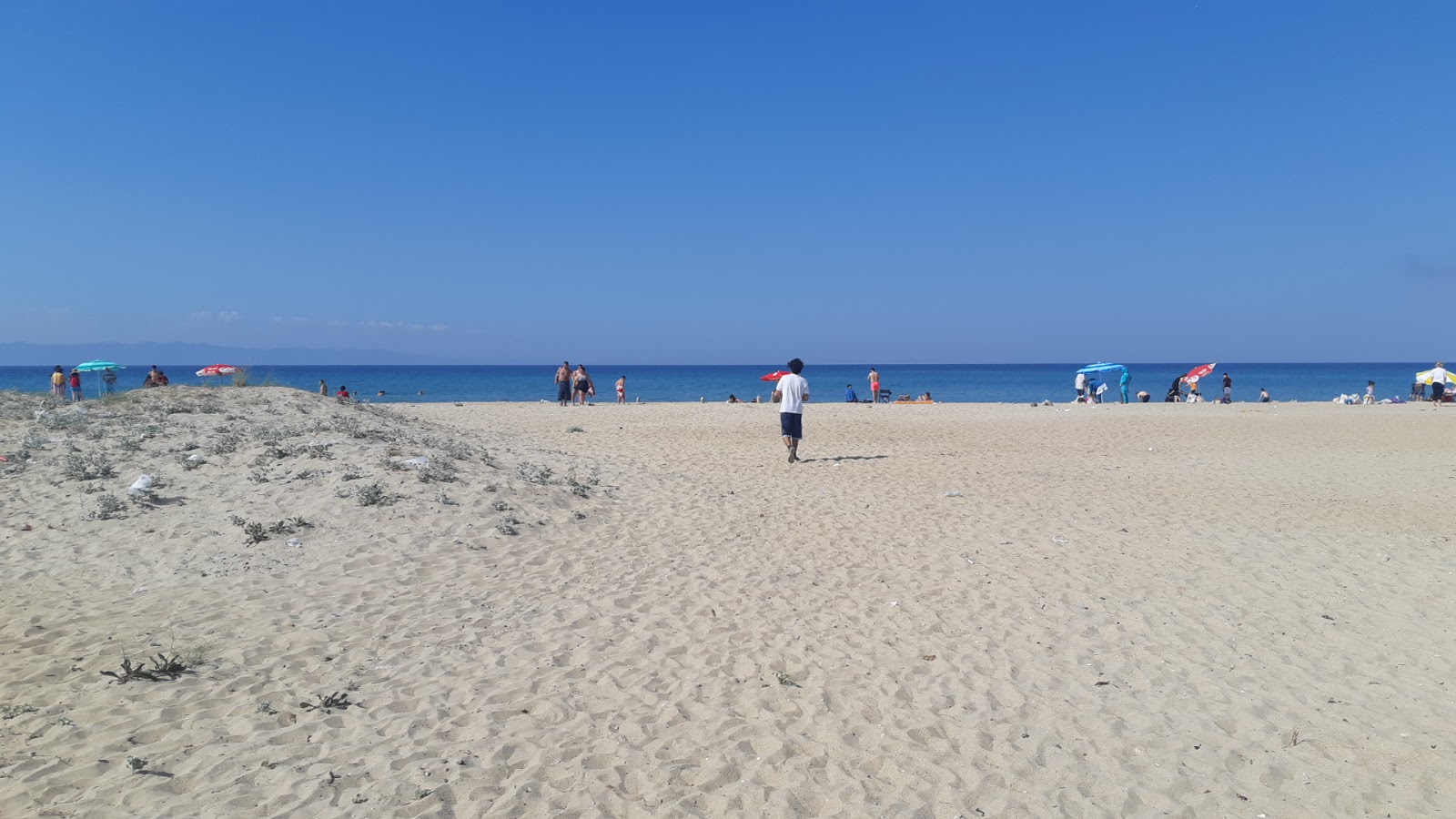 Foto av Mecidiye coast beach med hög nivå av renlighet