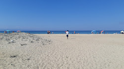 Mecidiye coast beach'in fotoğrafı imkanlar alanı