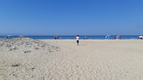 Mecidiye coast beach