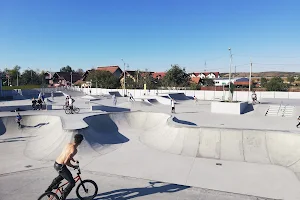 Skatepark Sibiu image