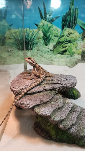 Pet Store «Claremont Pet & Aquarium Center», reviews and photos, 201 Washington St, Claremont, NH 03743, USA