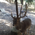 Photo n°1 de l'avis de Ak7_-bLuR. fait le 28/01/2018 à 16:50 sur le  Donnortei à Fonni