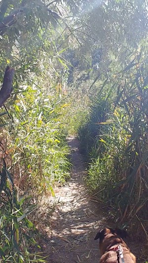 Kennecott Nature Center of Murray - photo 67