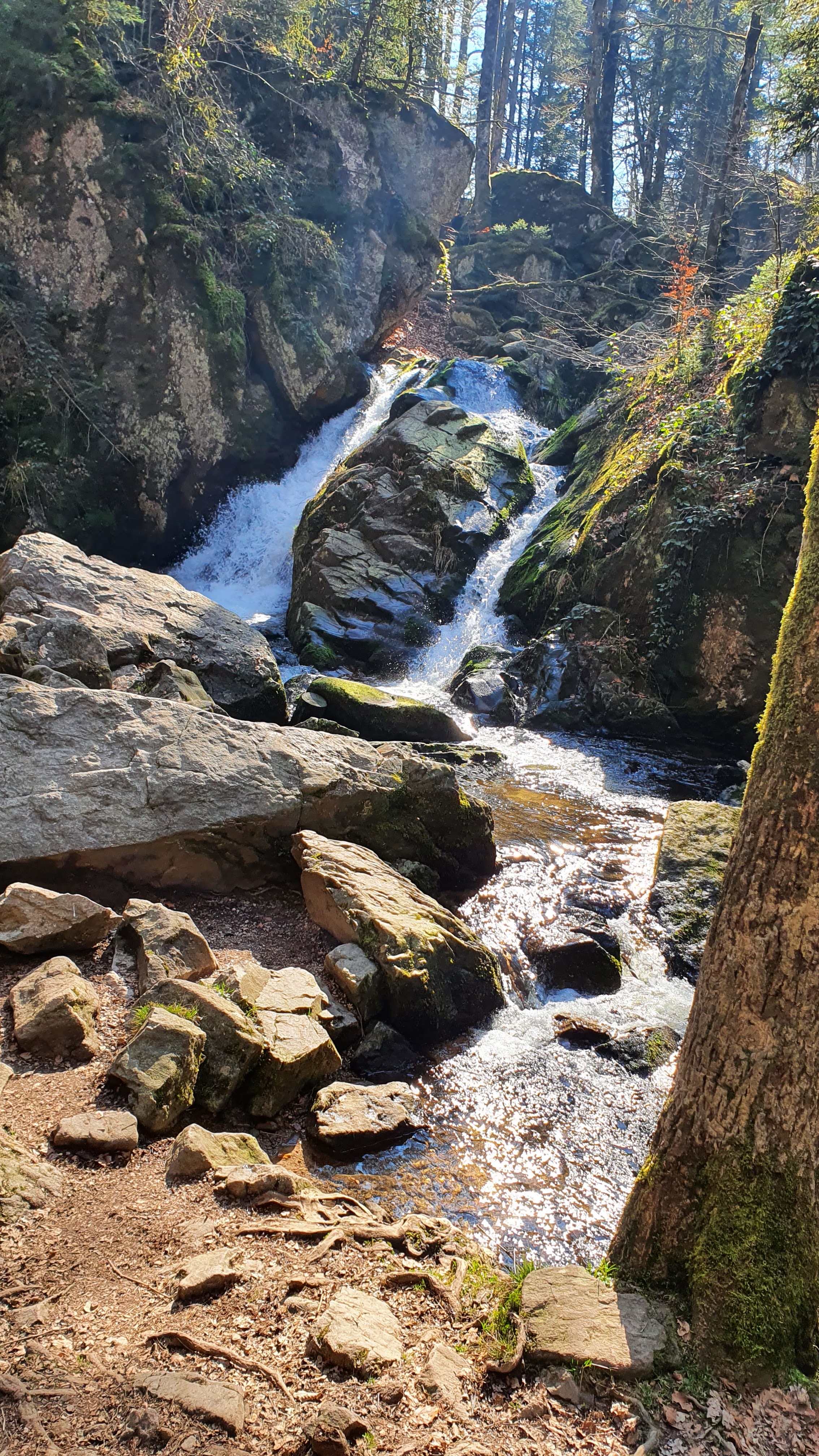 Photo n° 2 de l'avis de Laurent.u fait le 19/03/2022 à 21:11