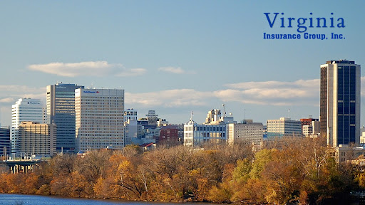 Virginia Insurance Group, Inc.