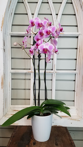 Florist «Flowerama of Springfield», reviews and photos, 659 W Sunshine St, Springfield, MO 65807, USA