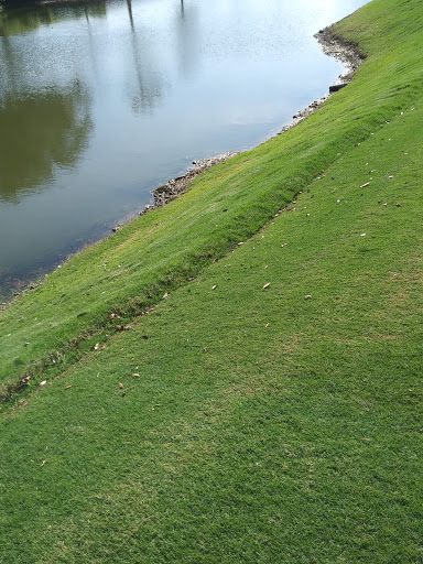 Private Golf Course «Adios Golf Course», reviews and photos, 7740 NW 39th Ave, Coconut Creek, FL 33073, USA