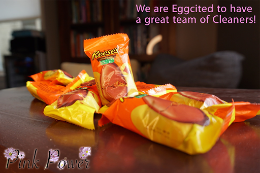 House Cleaning Service «Pink Power Home Cleaning», reviews and photos, OH-718, Troy, OH 45373, USA