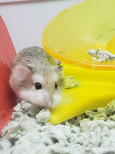 Pet Supply Store «Petco Animal Supplies», reviews and photos, 1483 NJ-23 #14b, Kinnelon, NJ 07405, USA