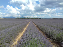 Valensole du Restaurant Expo lavande et son histoire à Valensole - n°7