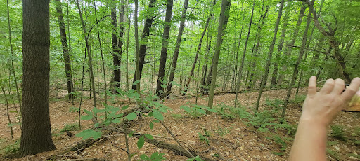 Environmental Organization «VINS Nature Center», reviews and photos, 6565 Woodstock Rd, Quechee, VT 05059, USA