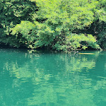 Photo n°5 de l'avis de Alessio. fait le 03/07/2022 à 14:25 sur le  Al Molo sull’Adda - Ristorante e Pizzeria à Trezzo sull'Adda