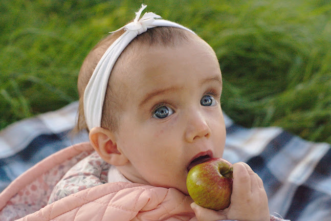 Kommentare und Rezensionen über Trudewind Familienfotografie