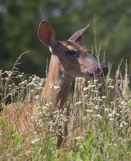 Boat Storage Facility «Self StorageOne ~ Perry Hall», reviews and photos, 7750 Rossville Blvd, Baltimore, MD 21236, USA