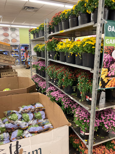 Supermarket «ALDI», reviews and photos, 3120 Penn Ave N, Minneapolis, MN 55411, USA