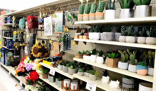 Discount Store «Big Lots», reviews and photos, 4840 Allen Rd, Zephyrhills, FL 33541, USA