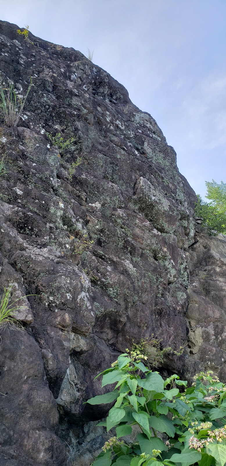 鳴滝の枕状溶岩