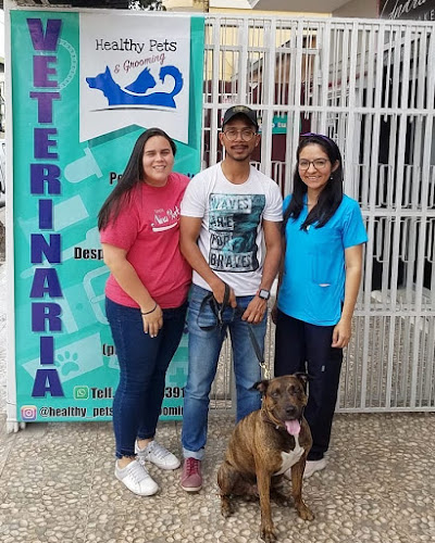 Opiniones de Veterinaria & Peluquería Canina Healthy Pets en Guayaquil - Veterinario
