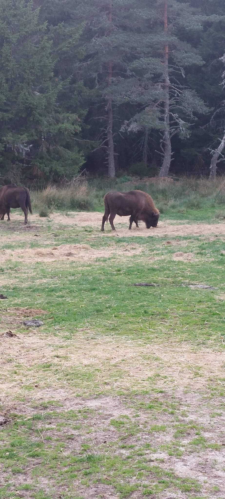 Photo n° 3 de l'avis de Thierry.L fait le 04/11/2022 à 12:54