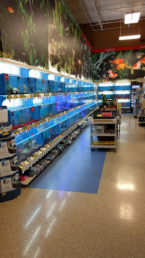 Pet Supply Store «PetSmart», reviews and photos, 3335 Cobb Pkwy NW #400, Acworth, GA 30101, USA