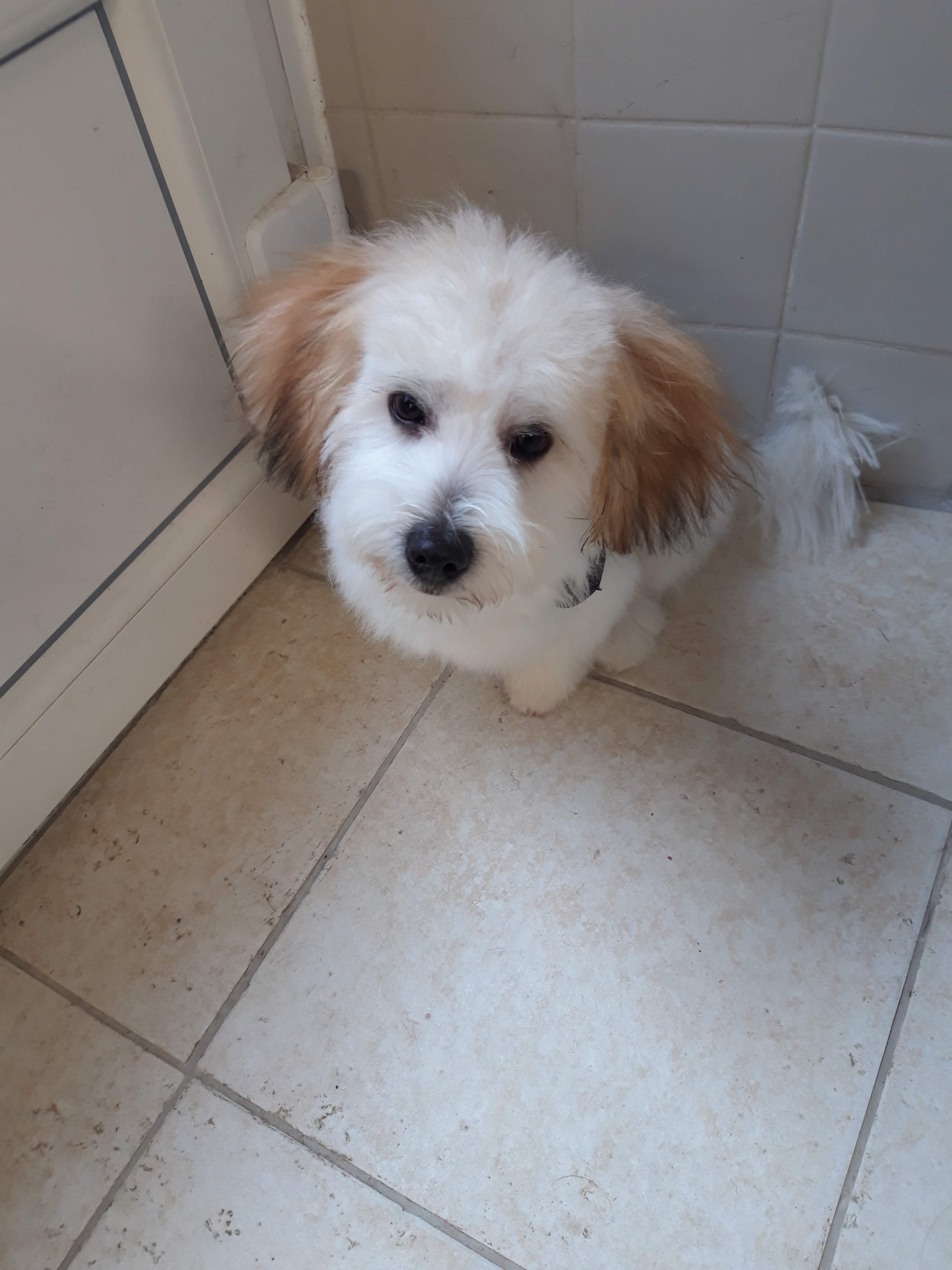 Photo n° 2 de l'avis de Isabelle.C fait le 12/04/2019 à 17:17