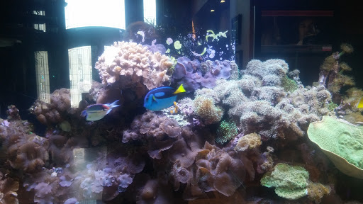 Auto Body Shop «Branning Collision Centers», reviews and photos, 98 Crow Hill Rd, Freehold, NJ 07728, USA