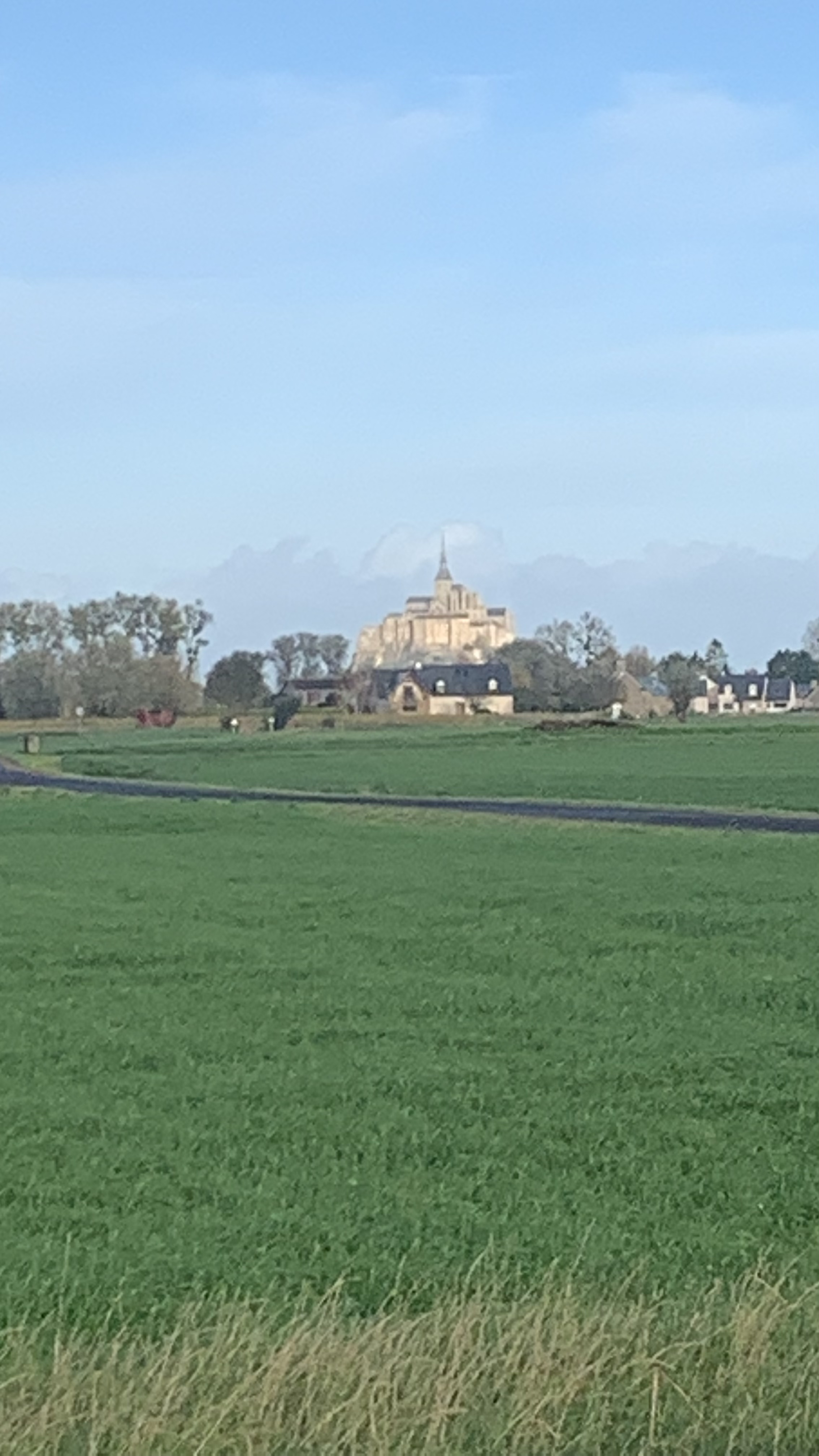 Photo n° 1 de l'avis de Tascher.y fait le 09/11/2022 à 10:00